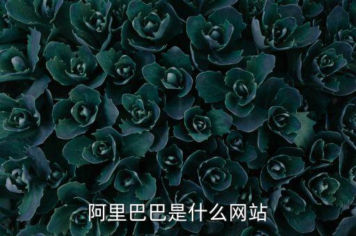 阿里巴巴是什么網(wǎng)站，阿里巴巴是什么網(wǎng)站