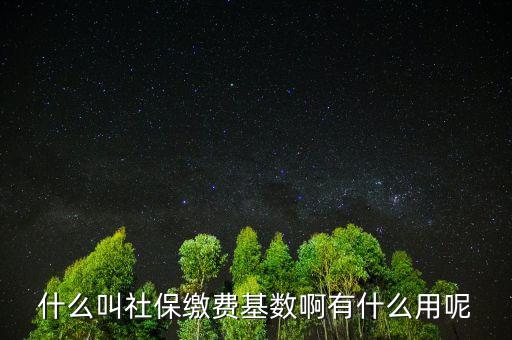 社保繳費(fèi)基數(shù)有什么用，什么叫社保繳費(fèi)基數(shù)啊有什么用呢