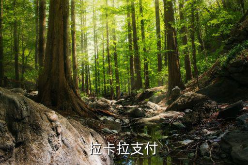 拉卡拉便利支付是什么，什么是銀聯(lián)拉卡啦支付
