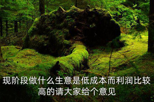 現(xiàn)階段做什么生意是低成本而利潤(rùn)比較高的請(qǐng)大家給個(gè)意見