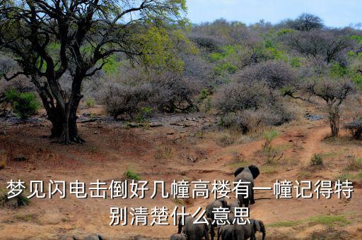 什么是閃電崩盤，a mini flash crash什么意思