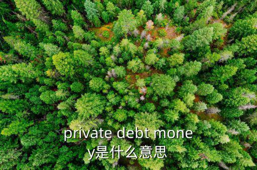 私人配售什么意思，private debt placement是什么意思啊