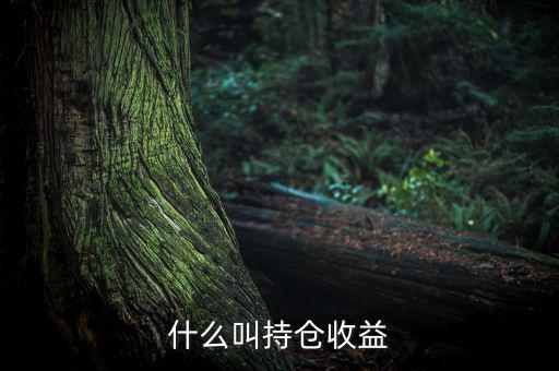 理財里的持倉收益是什么意思，基金 持倉收益7579 是什么意思啊 本人是新手