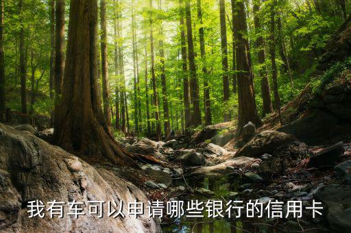有車申請什么信用卡，我有車可以申請哪些銀行的信用卡