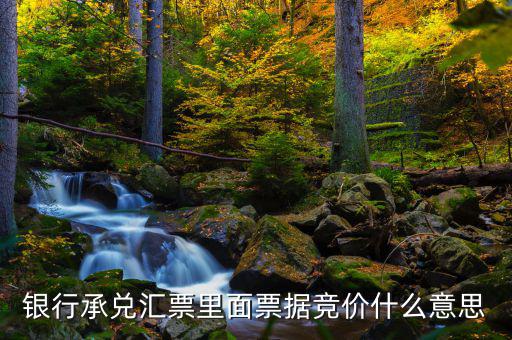 票據(jù)網(wǎng)交易是什么意思，中國票據(jù)網(wǎng)httpwwwzgpjwcom中的票據(jù)轉(zhuǎn)貼直貼買入直貼賣出