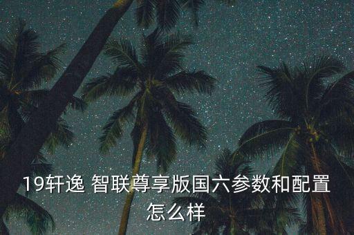 19軒逸 智聯(lián)尊享版國六參數和配置怎么樣