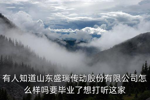 盛瑞企業(yè)是干什么的，南京銳盛互聯(lián)網(wǎng)科技有限公司主要是做什么的