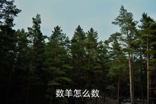 數羊怎么數