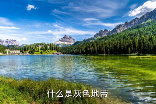 什么是項目灰色地帶，什么是灰色地帶