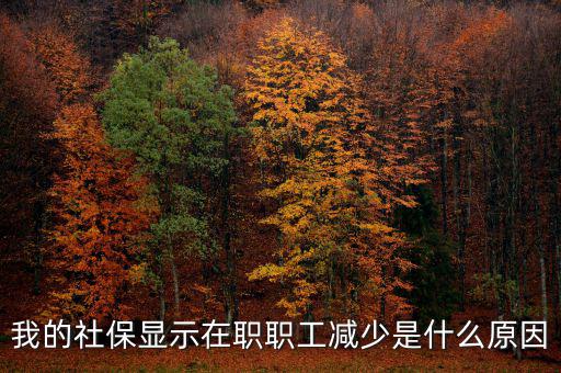 社保突然降了是什么原因，我的社保顯示在職職工減少是什么原因
