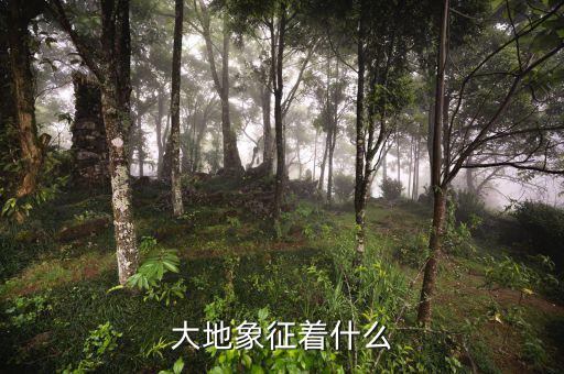 高地價象征什么，大地象征著什么