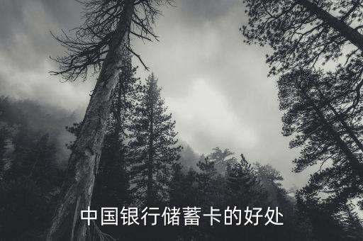 中國銀行存蓄卡有什么好處，中國銀行儲蓄卡的好處