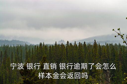 寧波 銀行 直銷(xiāo) 銀行逾期了會(huì)怎么樣本金會(huì)返回嗎