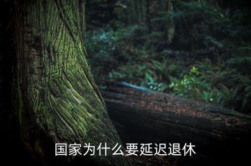 為什么要延遲退休，為什么要推遲退休年齡
