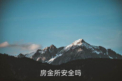 房金所平臺背景是什么，房總管金融有了解他是什么背景的嗎目前做公寓資金遇到了一些問題
