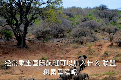 星空聯(lián)盟積分怎么算,南航、東航可通過明珠卡共享積分等