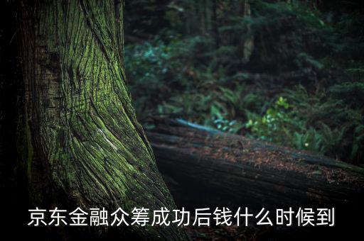 京東金融活動(dòng)什么時(shí)候結(jié)束，金條的活動(dòng)什么時(shí)候結(jié)束啊