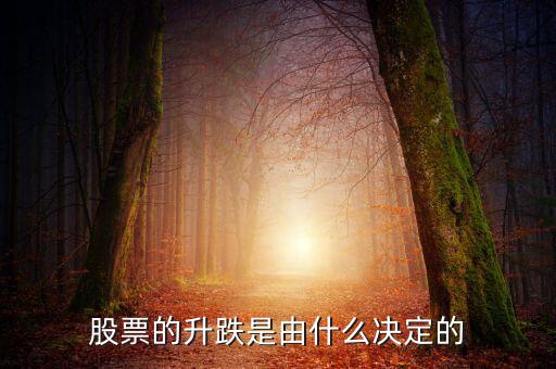 股票根據什么跌升，股票的升跌是由什么決定的