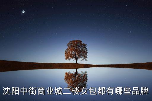 中街商業(yè)城都有什么品牌，沈陽中街商業(yè)城二樓女包都有哪些品牌