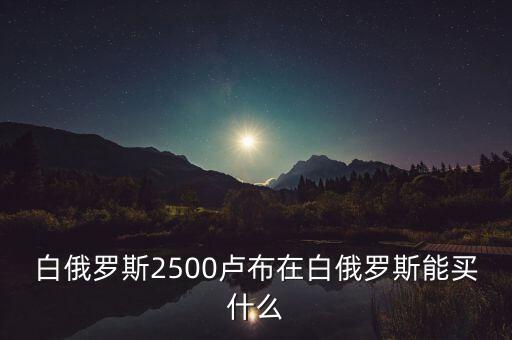 白俄羅斯盧布50可以買什么，白俄羅斯2500盧布在白俄羅斯能買什么