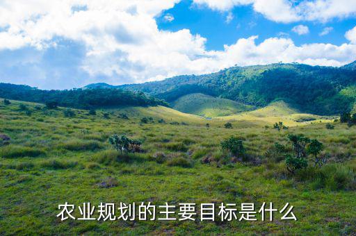 什么是農(nóng)村發(fā)展規(guī)劃指標，詳細規(guī)劃指標體系中各個指標的定義