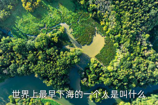 王木清什么時(shí)候下海的，我國英雄 下海 的故事