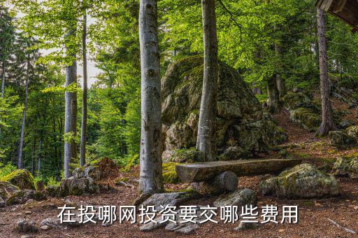 投哪網(wǎng)管理費(fèi)什么時(shí)候收取，投哪網(wǎng)收手續(xù)費(fèi)嗎
