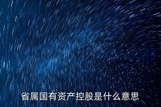 國(guó)資控股什么意思，國(guó)有資金投資占控股是什么意思
