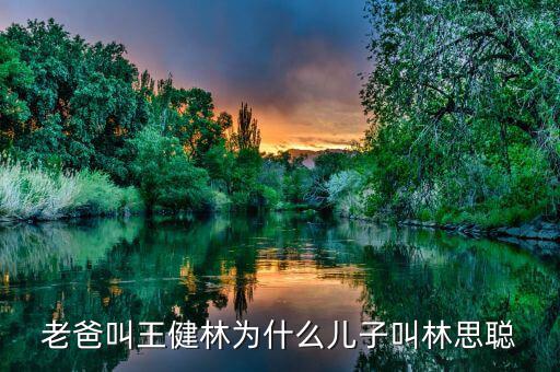 王健林和王思聰是什么關(guān)系，老爸叫王健林為什么兒子叫林思聰