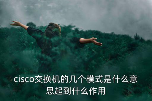 tmt究竟是什么模式，請(qǐng)問(wèn)TMT是什么意思
