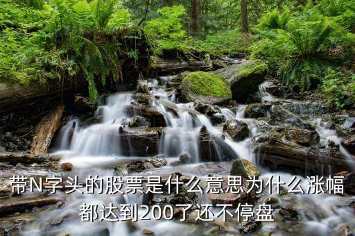 帶N字頭的股票是什么意思為什么漲幅都達(dá)到200了還不停盤