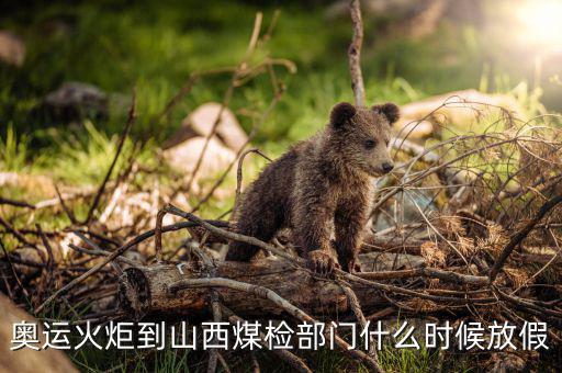 奧運(yùn)火炬到山西煤檢部門什么時(shí)候放假