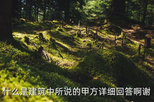 為什么說mint是甲方，MINTS DOUBLEMINT是什么意思