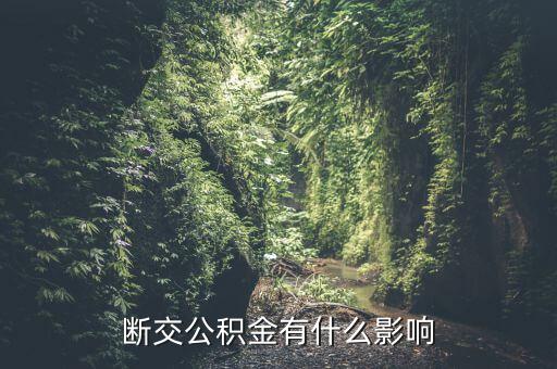 公積金斷了有什么影響，停繳公積金有什么影響