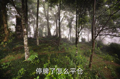 股票黑名單什么意思，股票配售黑名單是什么意思