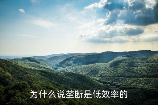 壟斷的無效率是什么，為什么說壟斷會(huì)導(dǎo)致低效率