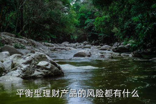 理才客戶風(fēng)險平衡型是什么意思，平安銀行評估平衡型是什么意思