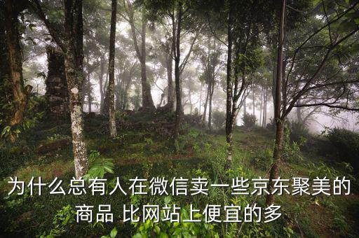 為什么聚美的價(jià)格便宜，聚美優(yōu)品怎么這么便宜