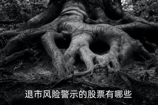 退市風(fēng)險警示的股票有哪些