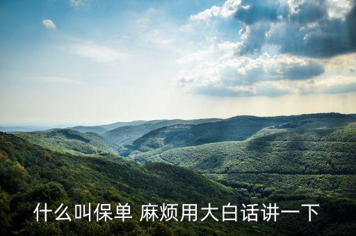 什么是保單，什么是保單