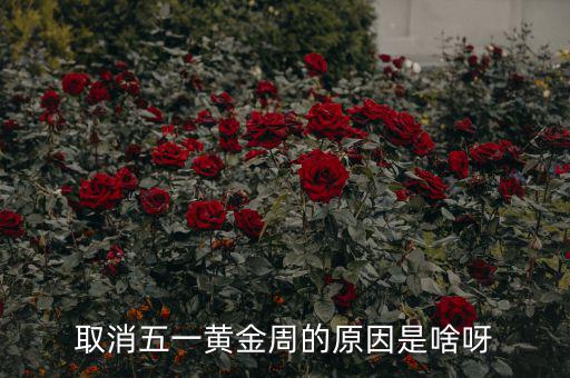 五一黃金周為什么取消，為什么取消五一黃金周