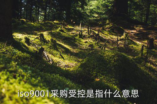 采購(gòu)流程的雙控體系是什么意思，iso9001采購(gòu)受控是指什么意思