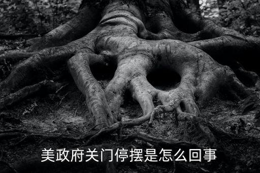 為什么美國政府關門，美國國會為什么關門