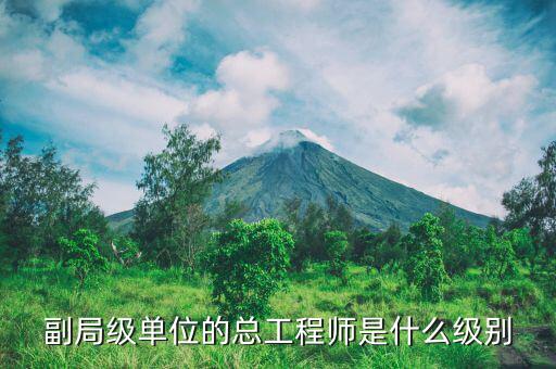核安全總工程師是什么級別，總工程師是什么級別