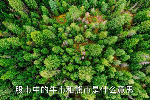 熊市的意思是什么，股市中的牛市和熊市是什么意思
