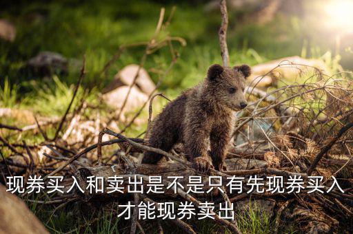 成交回報(bào)是什么，什么叫回報(bào)