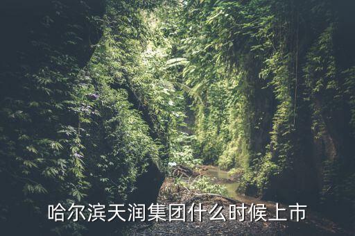 天潤乳業(yè)什么時候上市，哈爾濱天潤集團什么時候上市