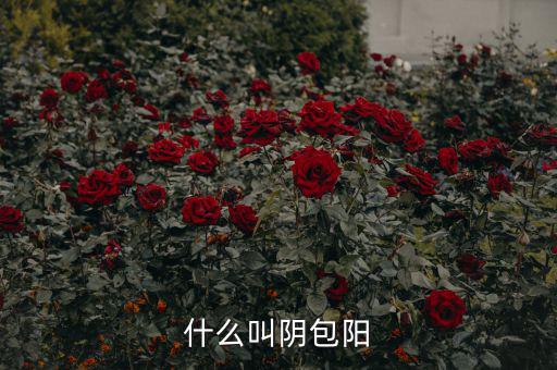 什么叫陽包陰，K線里收陽包陰或陰包陽指的是實(shí)體還是影線也算上