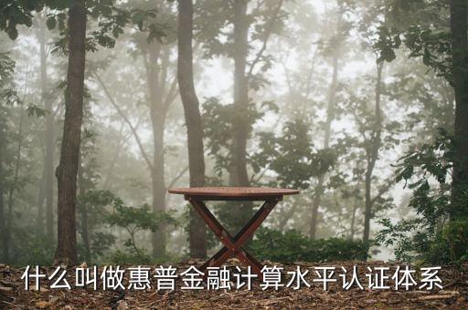 惠普金融是什么，普惠金融是什么意思