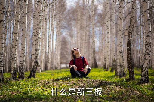 股票發(fā)行新三版是什么版塊，什么是新三板